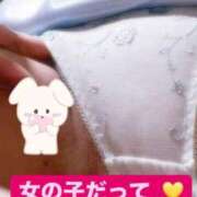 ヒメ日記 2026/07/21 20:03 投稿 のぞみ サンクチュアリ(上野)