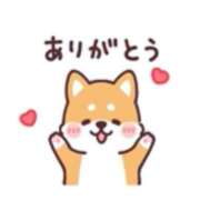 ヒメ日記 2026/09/05 20:20 投稿 のぞみ サンクチュアリ(上野)