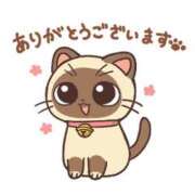 ヒメ日記 2026/09/26 01:24 投稿 のぞみ サンクチュアリ(上野)