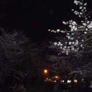 ヒメ日記 2026/04/12 09:59 投稿 くま スピードエコ日本橋店