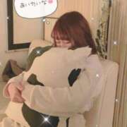 ヒメ日記 2026/02/15 06:00 投稿 なぎ JAPAN CLUB BUNNY LOUNGE