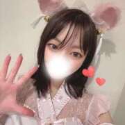 ヒメ日記 2026/02/15 13:01 投稿 なぎ JAPAN CLUB BUNNY LOUNGE