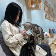 ヒメ日記 2026/03/12 20:01 投稿 なぎ JAPAN CLUB BUNNY LOUNGE