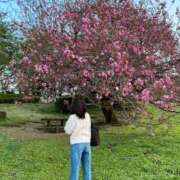 ヒメ日記 2026/03/13 08:00 投稿 なぎ JAPAN CLUB BUNNY LOUNGE