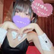 ヒメ日記 2026/05/15 13:23 投稿 なぎ JAPAN CLUB BUNNY LOUNGE
