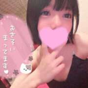 ヒメ日記 2026/05/15 16:31 投稿 なぎ JAPAN CLUB BUNNY LOUNGE