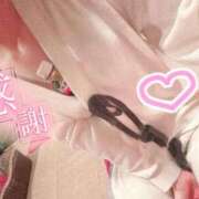 ヒメ日記 2026/05/17 02:08 投稿 なぎ JAPAN CLUB BUNNY LOUNGE