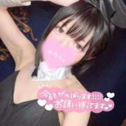 ヒメ日記 2026/05/18 08:53 投稿 なぎ JAPAN CLUB BUNNY LOUNGE