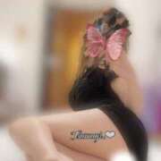 ヒメ日記 2026/04/08 20:51 投稿 長谷川　つむぎ かりそめ