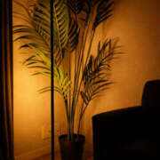 ヒメ日記 2026/02/14 22:10 投稿 野中あゆか 極みのワイフ