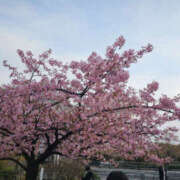 ヒメ日記 2026/02/21 15:52 投稿 野中あゆか 極みのワイフ