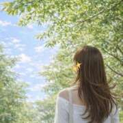 ヒメ日記 2026/04/14 11:52 投稿 野中あゆか 極みのワイフ