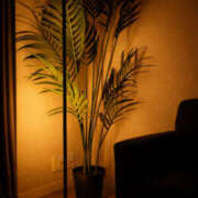 ヒメ日記 2026/02/14 22:46 投稿 野中あゆか マドンナの誘惑