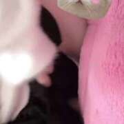 ヒメ日記 2026/03/03 19:44 投稿 める バタフライ立川