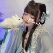 ヒメ日記 2026/02/09 01:23 投稿 コユキ【体験入店】 川崎美女革命