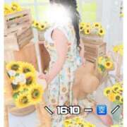 ヒメ日記 2026/06/22 11:12 投稿 ひめ モアグループ丸妻厚木店