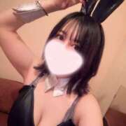 ヒメ日記 2026/02/08 21:01 投稿 みれい JAPAN CLUB BUNNY LOUNGE