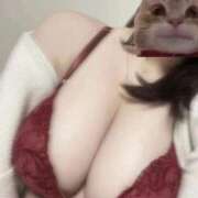 ヒメ日記 2026/03/15 11:17 投稿 もも フェアリー【都城店】