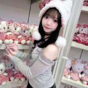 アヤメ ２７日から🧡 きらめけ！にゃんにゃん学園in大宮