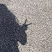 ヒメ日記 2026/04/22 18:25 投稿 ななせ 茨城神栖ちゃんこ