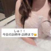 ヒメ日記 2026/05/13 06:58 投稿 ななせ 茨城神栖ちゃんこ