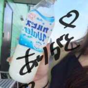 ななせ しゅ！！！ 茨城神栖ちゃんこ