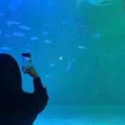 ヒメ日記 2026/02/01 17:23 投稿 せれな ダイスキ