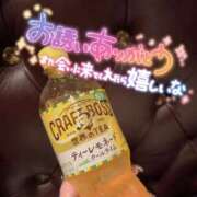 ヒメ日記 2026/04/04 16:49 投稿 せれな ダイスキ