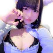 ヒメ日記 2026/02/11 14:42 投稿 もも ふわメロ