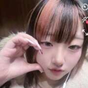 ヒメ日記 2026/02/23 20:05 投稿 しゅな 秋葉原コスプレ学園in仙台