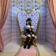 ヒメ日記 2026/03/15 21:56 投稿 ネム ロボットデリヘル