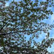 ヒメ日記 2026/04/16 22:41 投稿 一色　りこ かりそめ