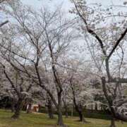 なつ「なつ」 お休み🙇🏻‍♀️💦 ピュアセレクラブ