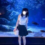 ヒメ日記 2026/05/20 01:24 投稿 なつ「なつ」 ピュアセレクラブ