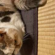 ヒメ日記 2026/02/11 07:05 投稿 香凜（かおり） 松戸デリヘル　熟女ヘブン