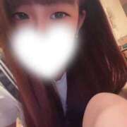 ヒメ日記 2026/01/29 20:17 投稿 めぐ 激安ソープの殿堂　ボイン・ホーテ