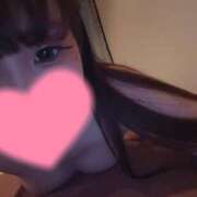 ヒメ日記 2026/02/04 21:30 投稿 めぐ 激安ソープの殿堂　ボイン・ホーテ