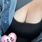 ヒメ日記 2026/02/06 11:04 投稿 はる 山口下関ちゃんこ