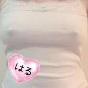 ヒメ日記 2026/02/07 06:34 投稿 はる 山口下関ちゃんこ