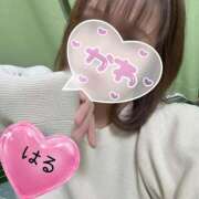 ヒメ日記 2026/02/07 22:25 投稿 はる 山口下関ちゃんこ