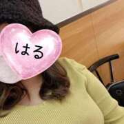 ヒメ日記 2026/02/10 19:14 投稿 はる 山口下関ちゃんこ