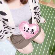 ヒメ日記 2026/02/11 01:44 投稿 はる 山口下関ちゃんこ