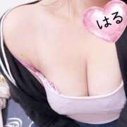 ヒメ日記 2026/02/16 07:04 投稿 はる 山口下関ちゃんこ