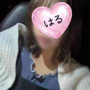 ヒメ日記 2026/02/21 02:24 投稿 はる 山口下関ちゃんこ