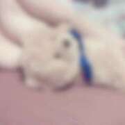 ヒメ日記 2026/02/21 23:14 投稿 はる 山口下関ちゃんこ