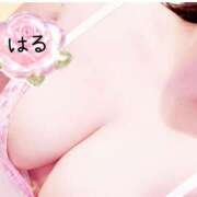 ヒメ日記 2026/02/23 03:04 投稿 はる 山口下関ちゃんこ