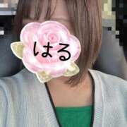 ヒメ日記 2026/03/04 17:54 投稿 はる 山口下関ちゃんこ