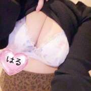 ヒメ日記 2026/03/06 16:14 投稿 はる 山口下関ちゃんこ