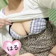 ヒメ日記 2026/03/07 02:44 投稿 はる 山口下関ちゃんこ