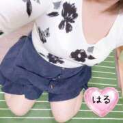 ヒメ日記 2026/03/09 15:24 投稿 はる 山口下関ちゃんこ